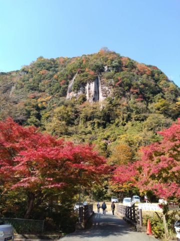 保証人不要・都市ガス利用・お財布に優しい新生活の始まり🏠