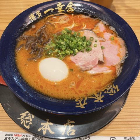 新しいとんこつラーメン💡✨