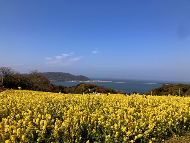ペット可　ネット無料　最上階⚓🏠