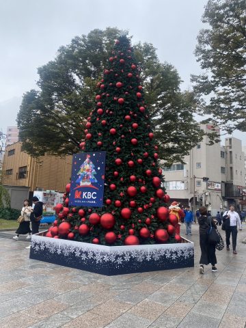 🎄今年も残すところ2週間🎄