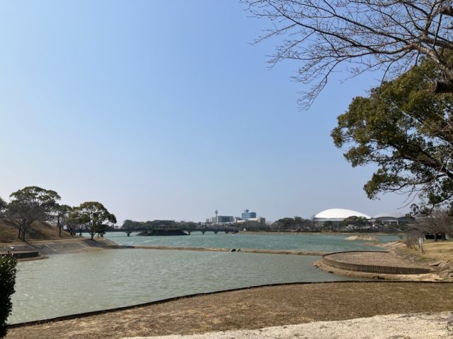桜開花宣言🌸福岡　中央区　新生活🏠🌸